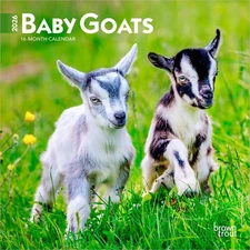 Baby Goats | 2026 7x14" (Hanging) Monthly Mini Wall Calendar