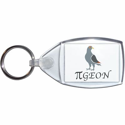Pi Pigeon Schlüsselanhänger klar Kunststoff (S, M oder L)
