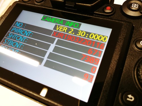 PANASONIC LUMIX DC-S1 V-LOG - Foto 13 di 13