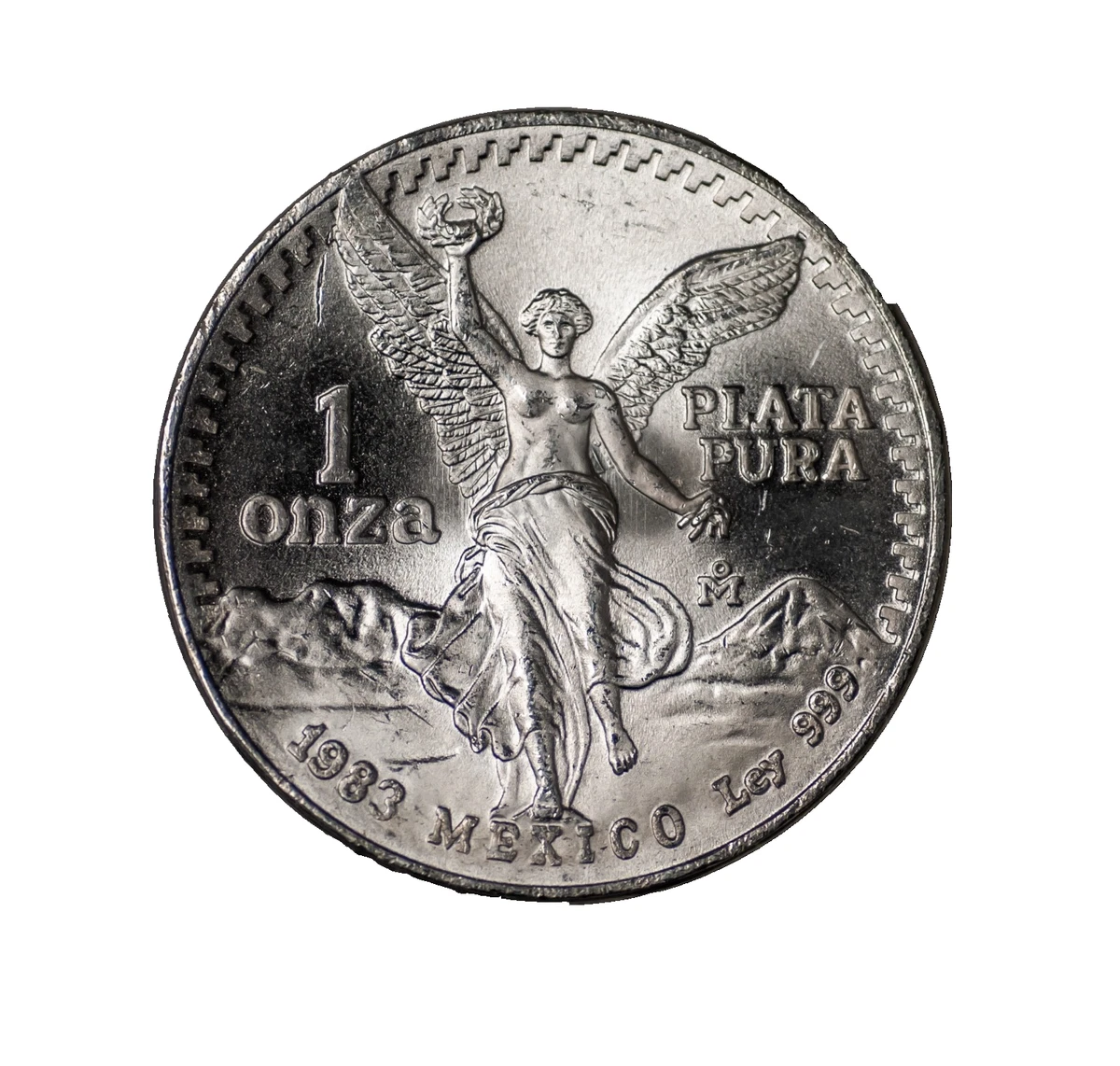 1983 Silver Bullion Coins for sale | eBay