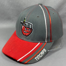 BimmRidder Fort Wayne TinCaps MiLB Strapback Hat Cap Gray San Diego Padres Youth