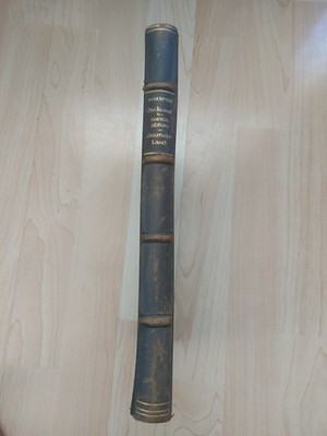 Hermann Schmitz - Die Kunst des frühen und hohen Mittelalters in Deutschland. 