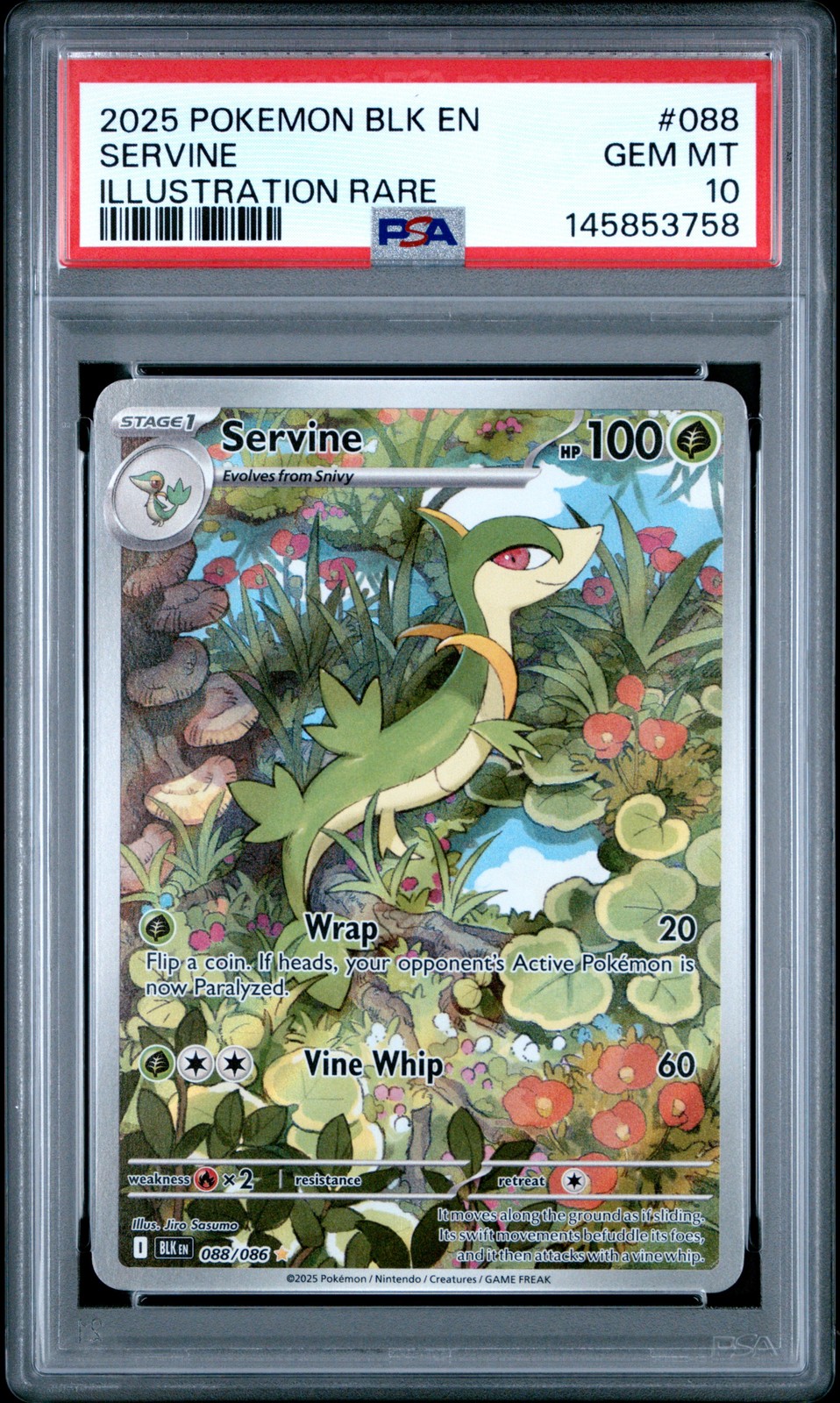 2025 POKEMON BLK EN-BLACK BOLT ILLUSTRATION RARE #088 SERVINE PSA 10