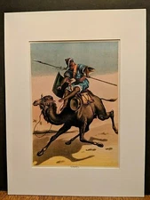 1880 HenryJ Johnson Camel Plate XXXVIII Ungulata  Art Print Matted