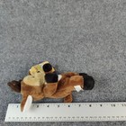 Picture 11 of 11