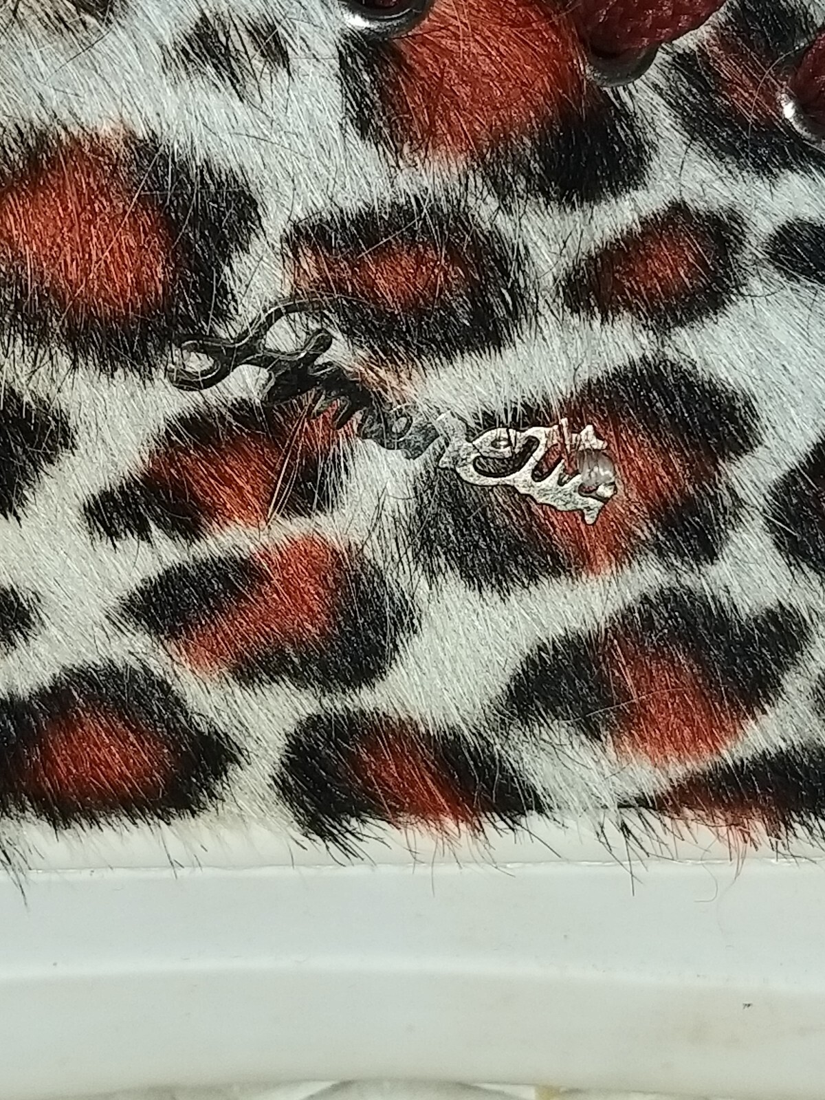 lotto 3 paia scarpe n 37 bambina