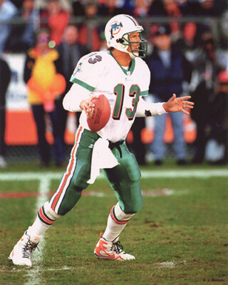 DAN MARINO MIAMI DOLPHINS 8X10 PHOTO #6