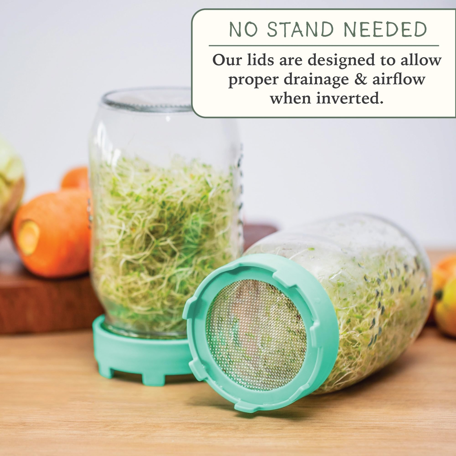Sprouting Lids For Wide Mouth Mason Jars set Of 2 Sprouts Growing Kit ...