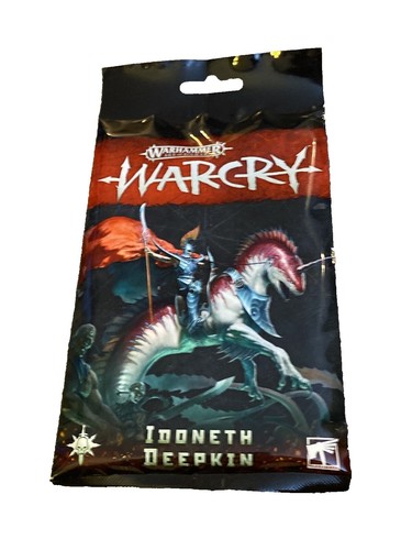 x1 Elfes Noirs Maraudeur Métal Warhammer FB | P-00EWB