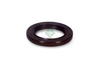 Wellendichtring Nockenwelle Schaeffler Ina 413 0095 10 FüR Renault KG0 Laguna 2