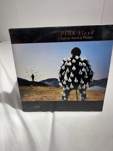 Pink Floyd Delicate Sound of Thunder 1988 Vinyl LP Album CBS Records PC2 44484