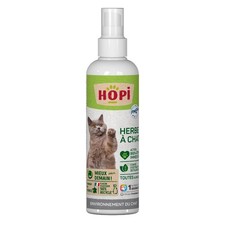 Spray herbe à Chat 200 ml - Extraits de Plantes - Stimule le Bien Être