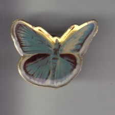 RARE PINS PIN'S .. ANIMAL PAPILLON BUTTERFLY MORPHO BLEU BLUE EPOXY ~CY