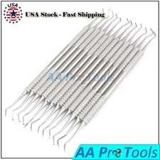 12 PCS DENTAL EXCAVATOR 17W, ENDO SPOON DOUBLE ENDED INSTRUMENTS STAINLESS STEEL