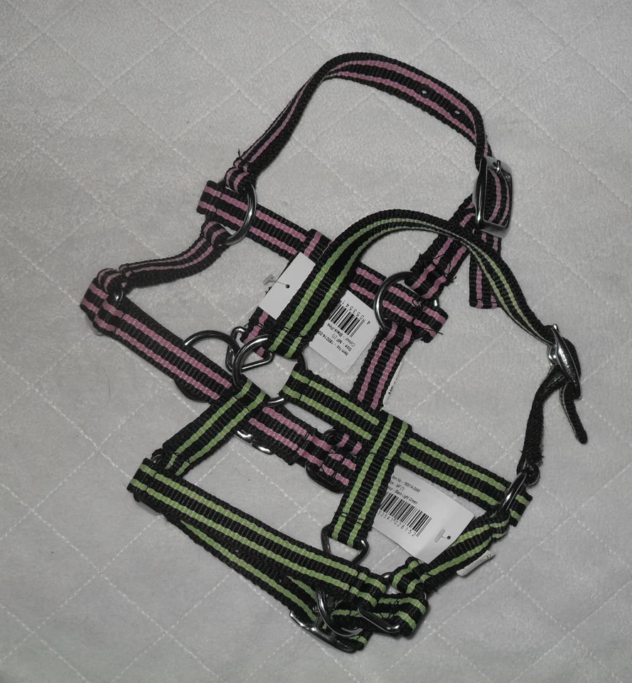 Fohlenhalfter für Mini Shetty und Shetty extra klein  Viele Farben DHL- Versand - Bild 3 von 4