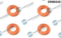 Dr.Motor Automotive Dichtungssatz EinspritzdüSe FüR Ford Focus Turnier DNW