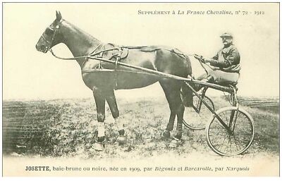 Hippisme.n ° 35967.josette.bai Braune .1912.CHEVAUX.sulky.SUPPLEMENT A La France