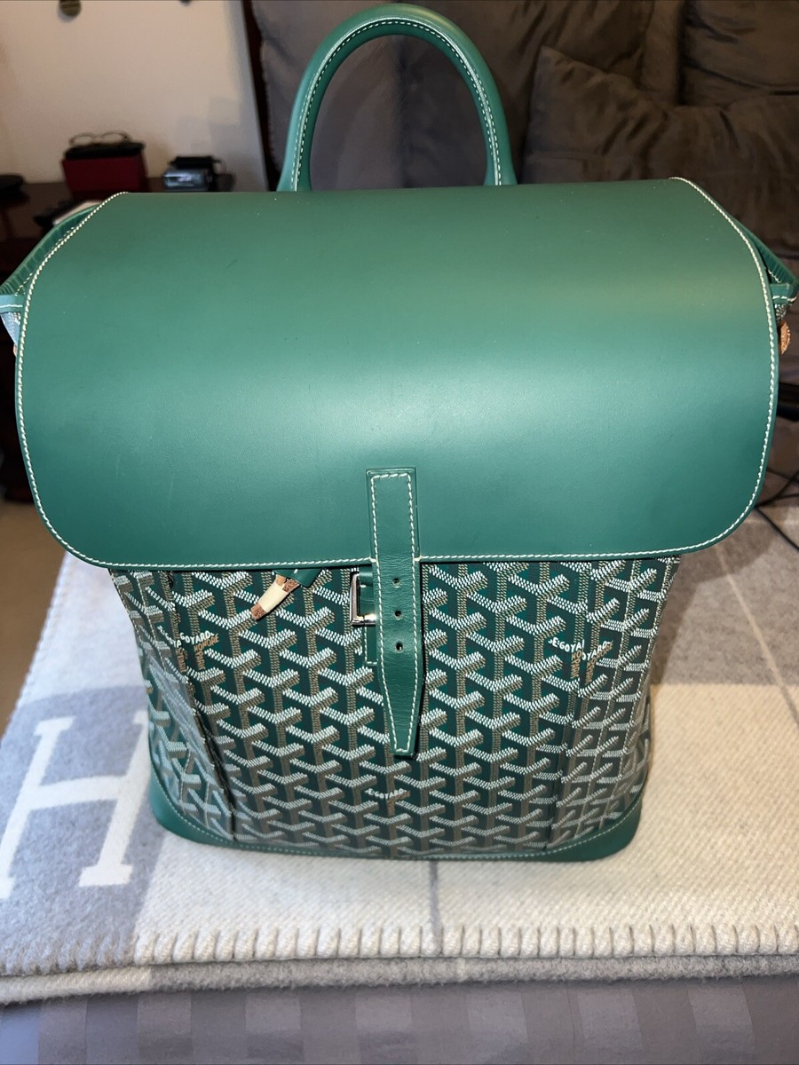 Goyard Alpin MM Backpack Green | eBay