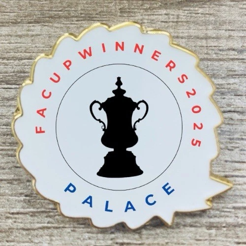 入手不可能！2010FA Cup決勝ポーツマス・ピンズ Fa Cup Badge in Other Football Badges & Pins for sale | eBay UK