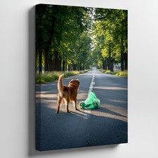 Golden-brown Dog With A Fluffy Tail Stands Curiously On A Wall Art Canvas Print