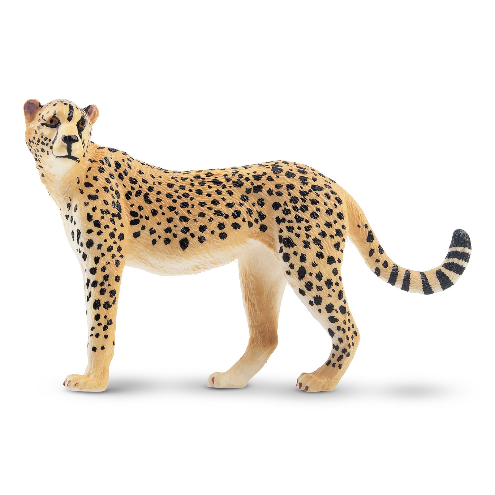 Toymany ML00191 Cheetah 9,6 CM Wild Animals