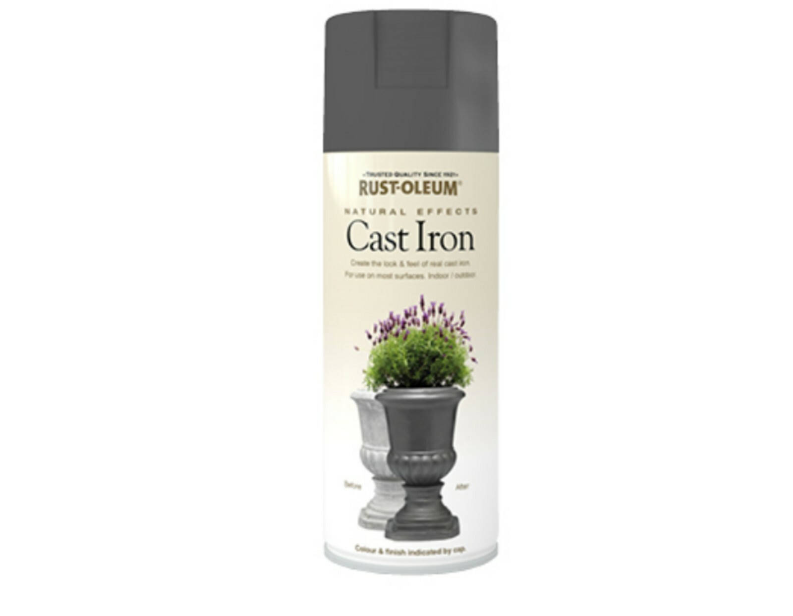 RustOleum Natural Effects Textured MultiPurpose Spray Paint Cast Iron