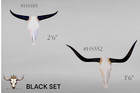 Hs185 - 2' 6' / Hs552 - 3' 6" Black Polished Horns mount Art! Set
