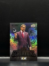 2024 Upper Deck Allure AEW - Tony Schiavone #114 - Black Rainbow