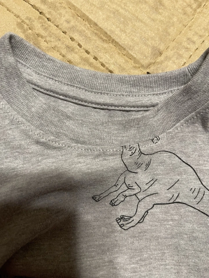 Camiseta infantil dinossauro manga longa 12 m cinza sem marca - Imagem 3 de 4