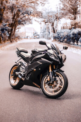 Yamaha R6 Expensive Motorcycle Speed Bike Wall Art Home Decor