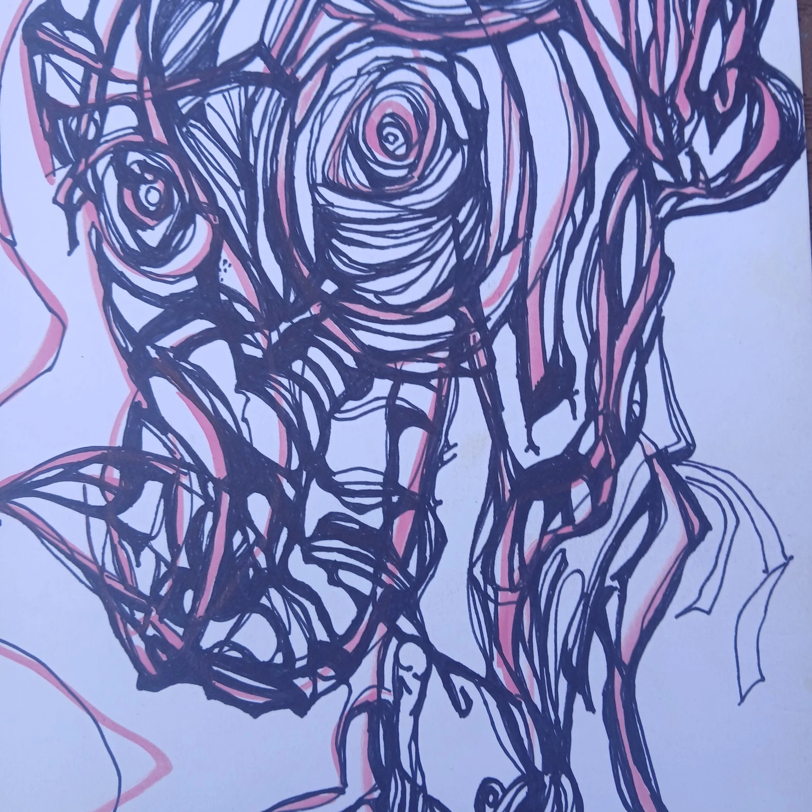 Picture 7 of 24