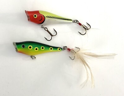 LEURRE BERKLEY FRENZY FIRESTICK MINNOW SUSPENDING 9CM