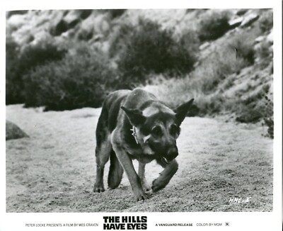 THE HILLS HAVE EYES : 1 Original-US-Pressefoto(20x25cm) WES CRAVEN (REGIE) -4-