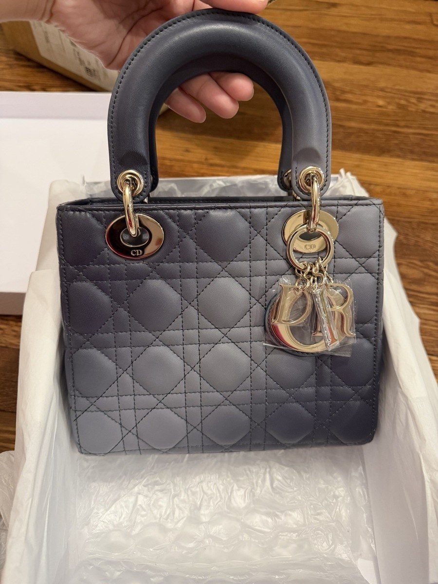 Lady Dior small ombre *Limited* ABC Strap $6200 MSRP | eBay