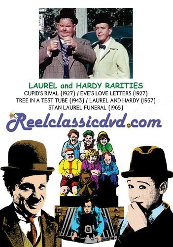 Laurel and Hardy Movie DVDs for sale | eBay