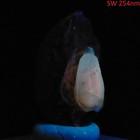 Bild 8 von 10