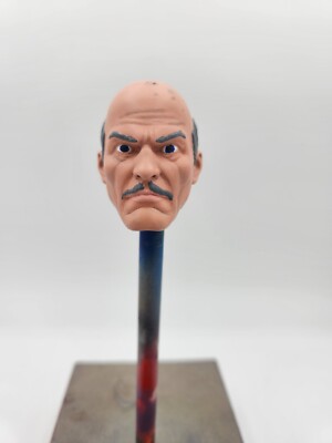 Mcfarlane DC Multiverse Custom Alfred Pennyworth Head Painted 1/10 Scale