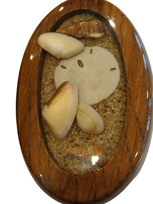 Vintage MCM Wood Trinket Box Lucite Lacquer Sea Sand Beach Shells Sand Dollar
