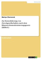 Zur Konsolidierung Von Zweckgesellschaften Nach Dem Bilanzrechtsmodernisierungsg