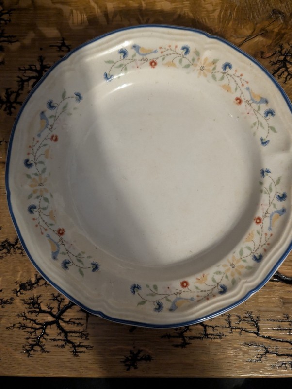 Brickoven Stoneware White Floral Round Plate Blue Rim Dishwasher Safe China
