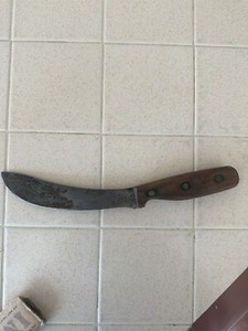Chicago Cutlery Vintage 10 Inch Skinning Hunting Knife 96-6 In Good Shape