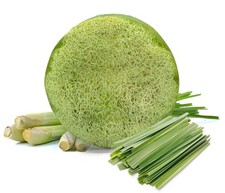 Loofah Soap Lemongrass Large Exfoliating 1 Count Pack of 1 ,