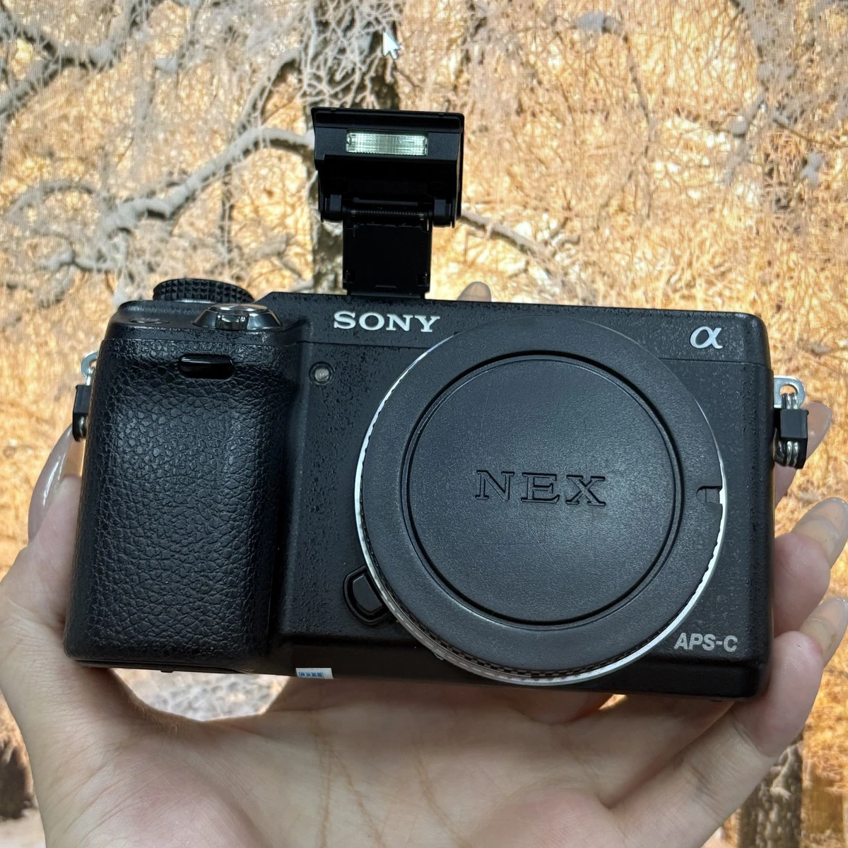 Sony Alpha Nex-6 Digital Cameras for Sale - Shop New & Used