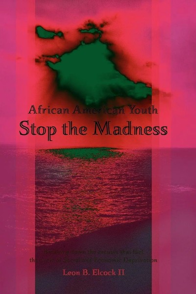 Leon Elcock | African American Youth - Stop The Madness | Taschenbuch | Englisch-image