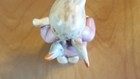 Bild 5 von 7