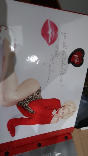 Madonna VIP Tour Book of the Rebel Heart Tour 2015 Neu Offiziell & Original - Bild 3 von 13