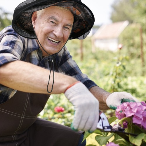 Anti-Mosquito Bug Bee Insect Head Net Hat Cap Sun Protection Fishing Hiking USA - Picture 24 of 45