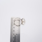 Picture 8 of 10