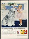 1958 Old English Sheepdog & young girl art Friskies Dog Food vintage print ad