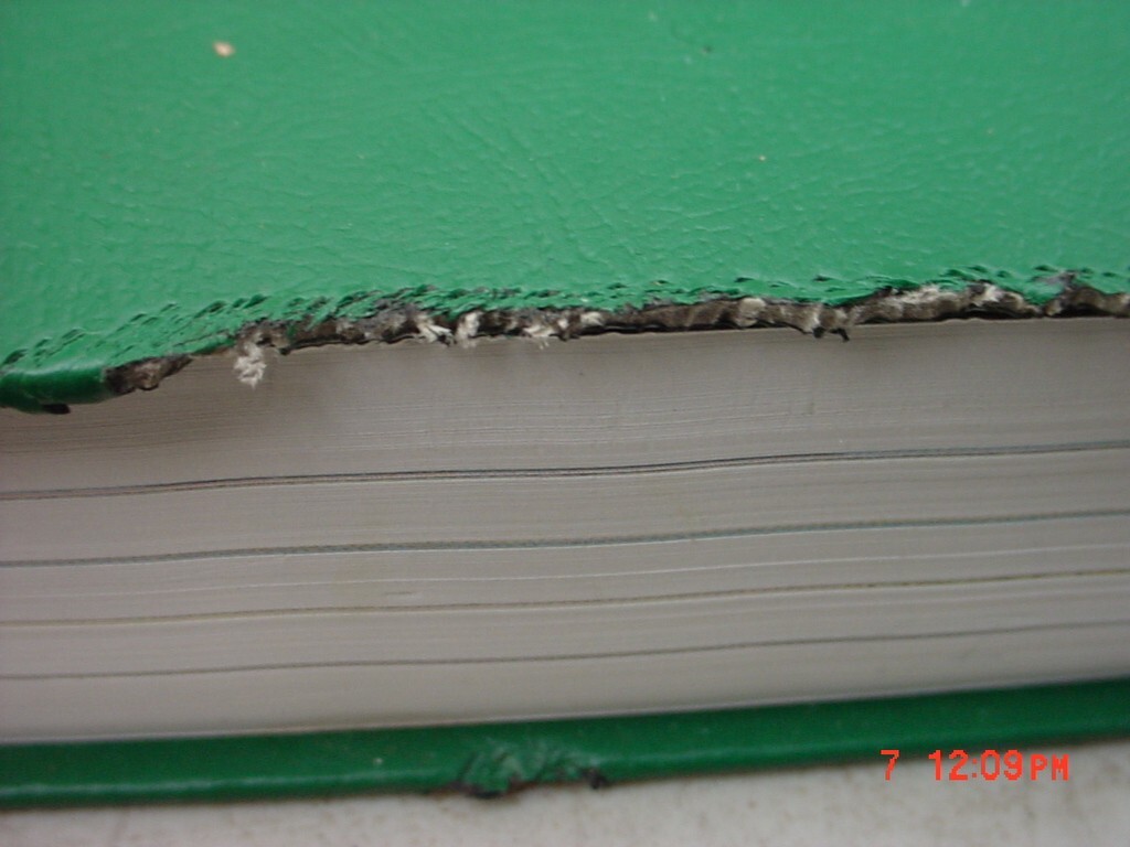 Picture 3 of 5